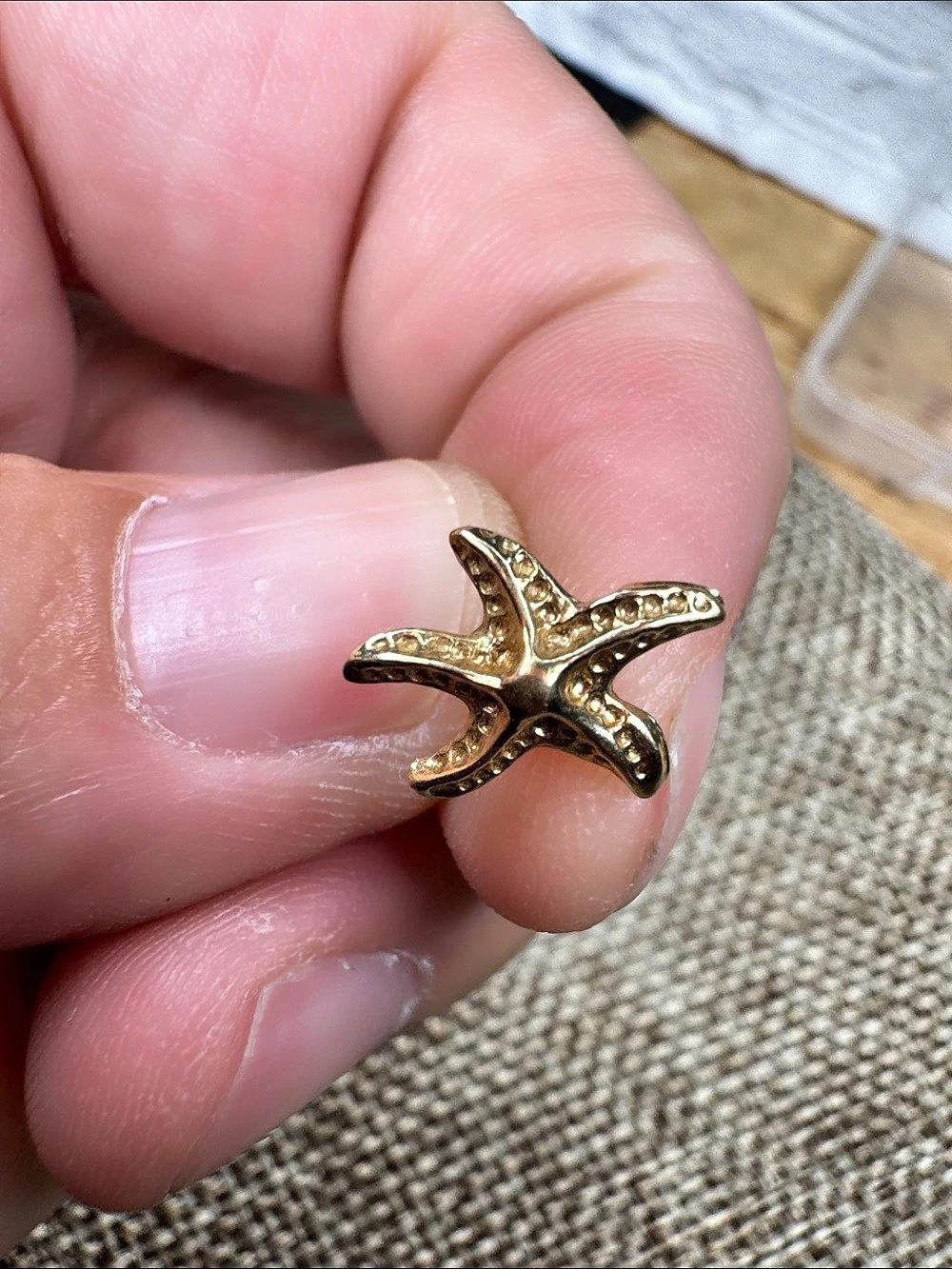 10kt Starfish Earrings in Gold